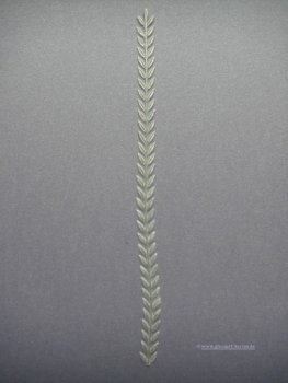 Verzierwachs" Myrtheborte"