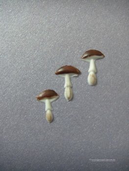 Verzierwachs, Wachsmotiv, "Steinpilz" Pilze 3er Set