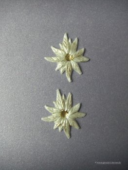 Verzierwachs / Wachsornament "Weihnachtsstern" 2er Set versch. Farben