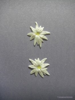 Verzierwachs / Wachsornament "Weihnachtsstern" 2er Set versch. Farben