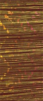 Wachsplatte weinrot irisierend mit Goldfäden