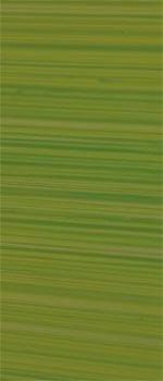 Wachsplatte grün bemalt