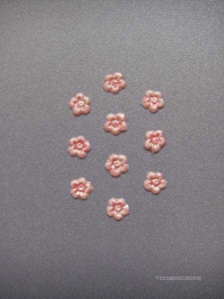 Verzierwachs, Wachsmotiv, Blümchen 10er Set