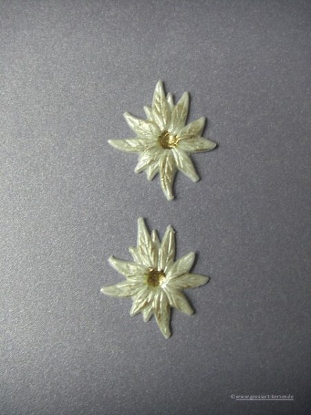 Verzierwachs / Wachsornament "Weihnachtsstern" 2er Set versch. Farben