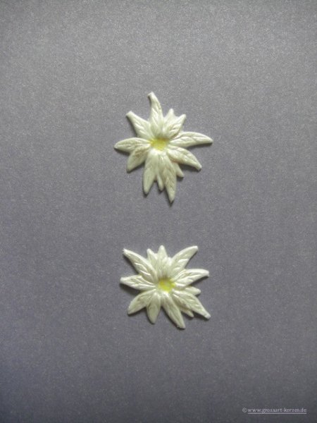 Verzierwachs / Wachsornament "Weihnachtsstern" 2er Set versch. Farben