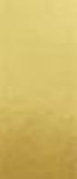 Wachsplatte gold hochglanz