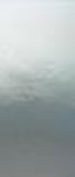 Wachsplatte silber hochglanz