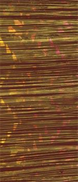 Wachsplatte weinrot irisierend mit Goldfäden