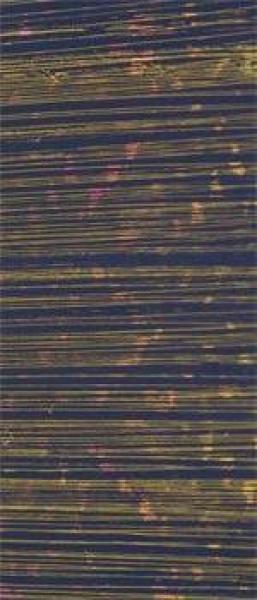 Wachsplatte dunkelblau irisierend mit Goldfäden